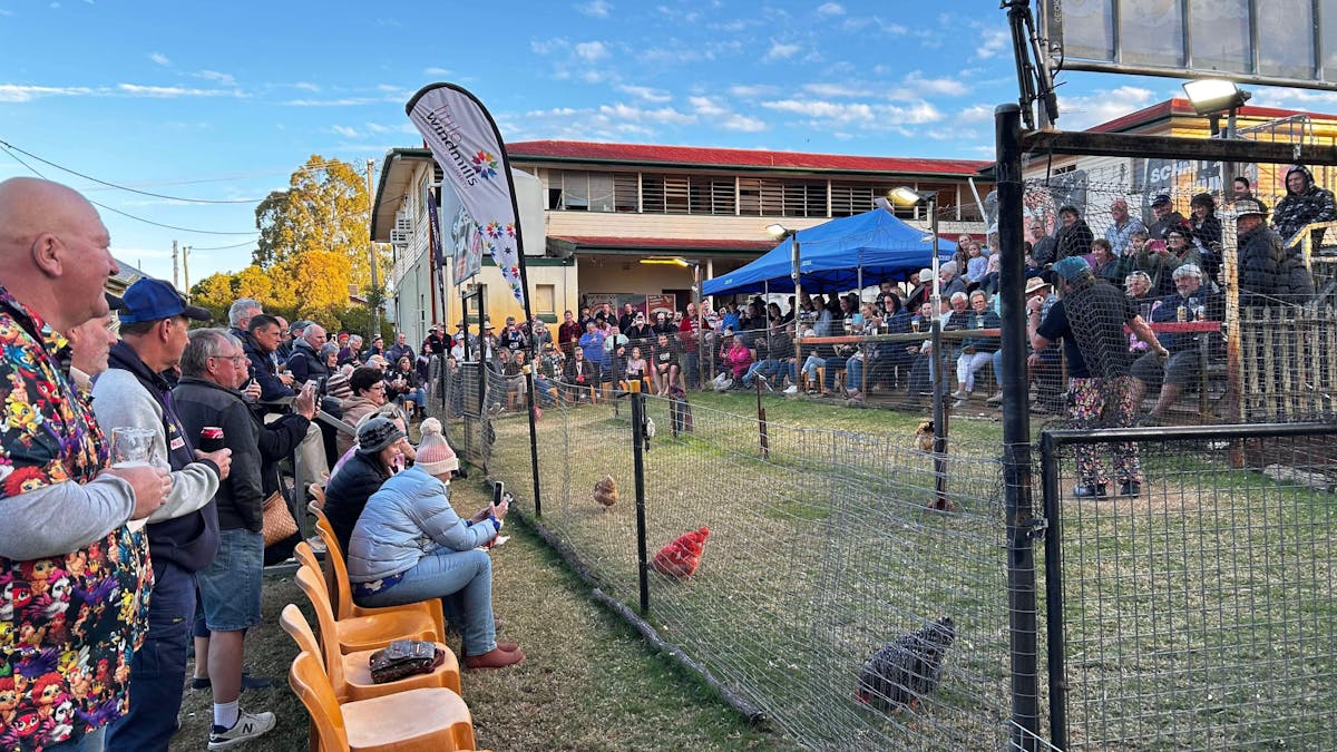 A photo of a large crowd at Ben's Chicken Racing, Tambo Western Queensland Attraction
