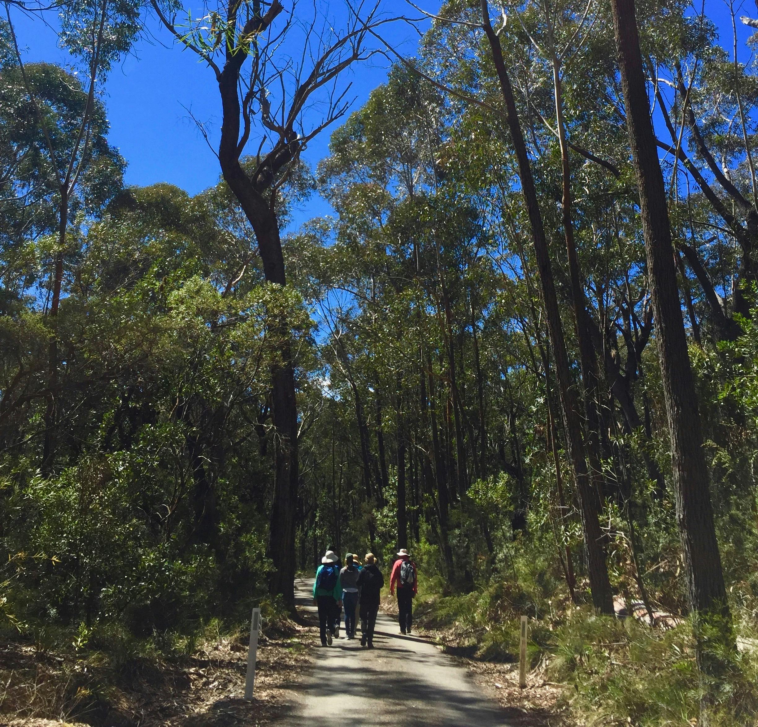 Walking in Robertson
