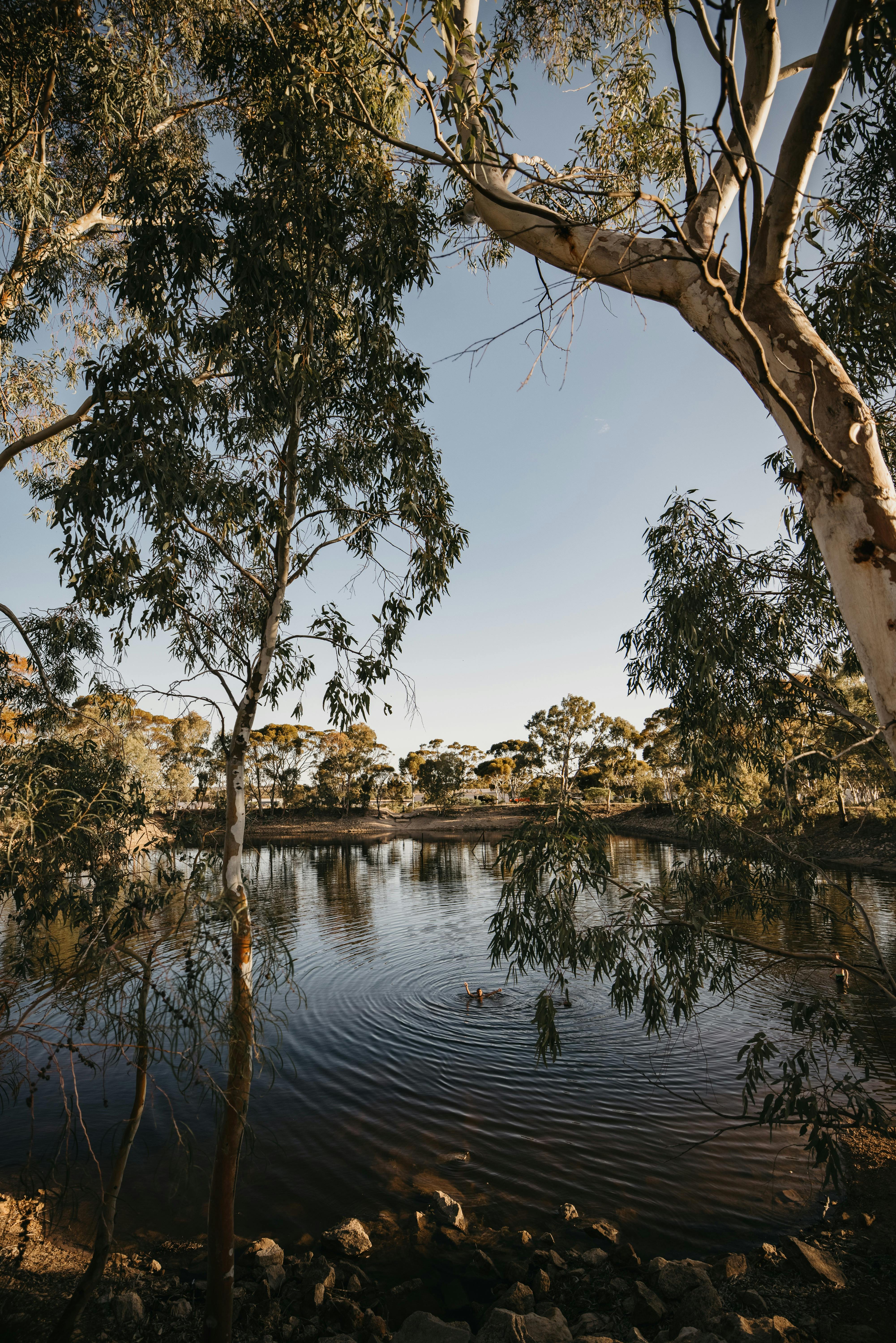 Eastern Wheatbelt Drive Trail