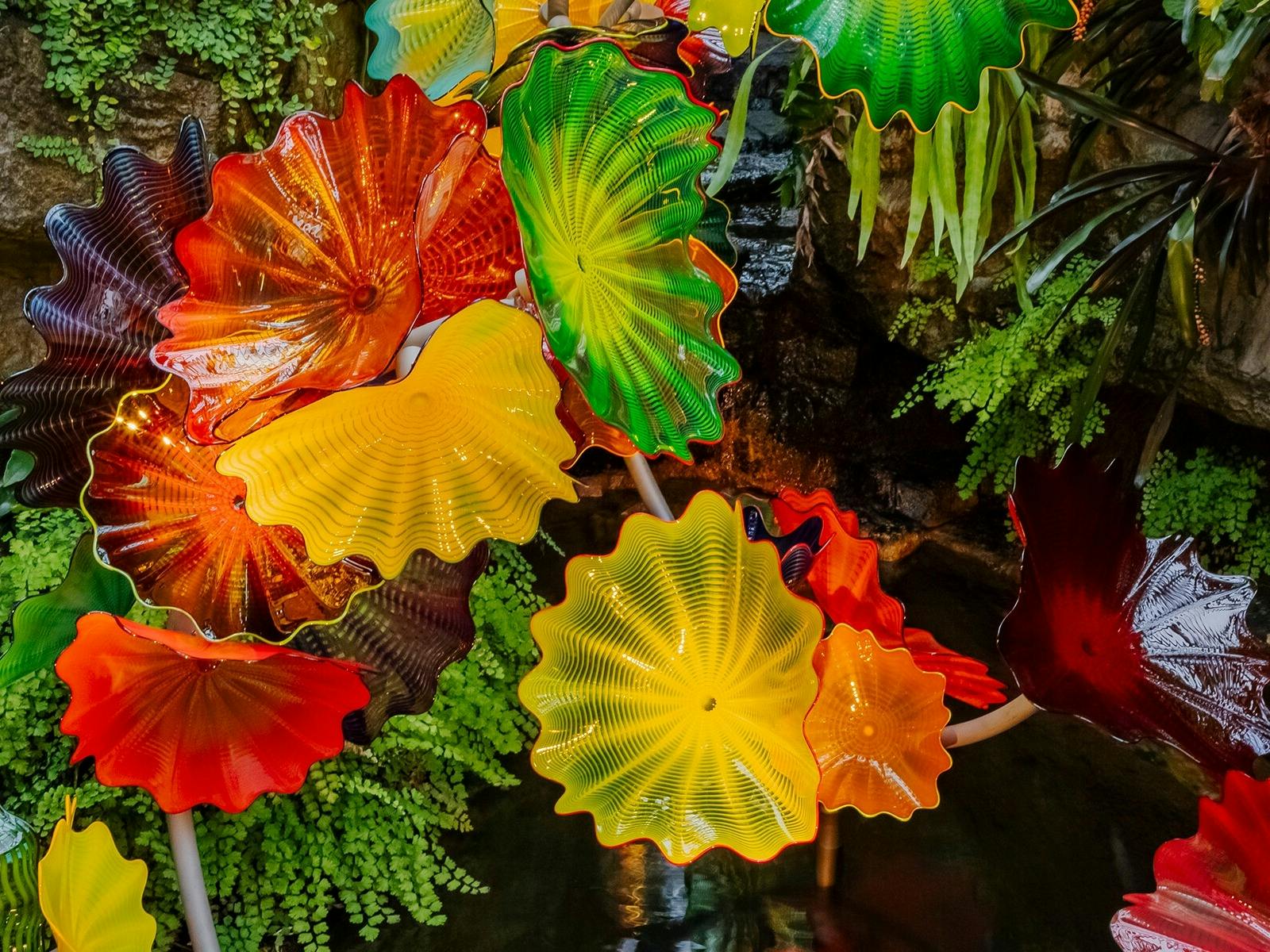 Chihuly in the Botanic Garden