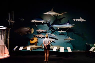 Museum and Art Gallery of the Northern Territory