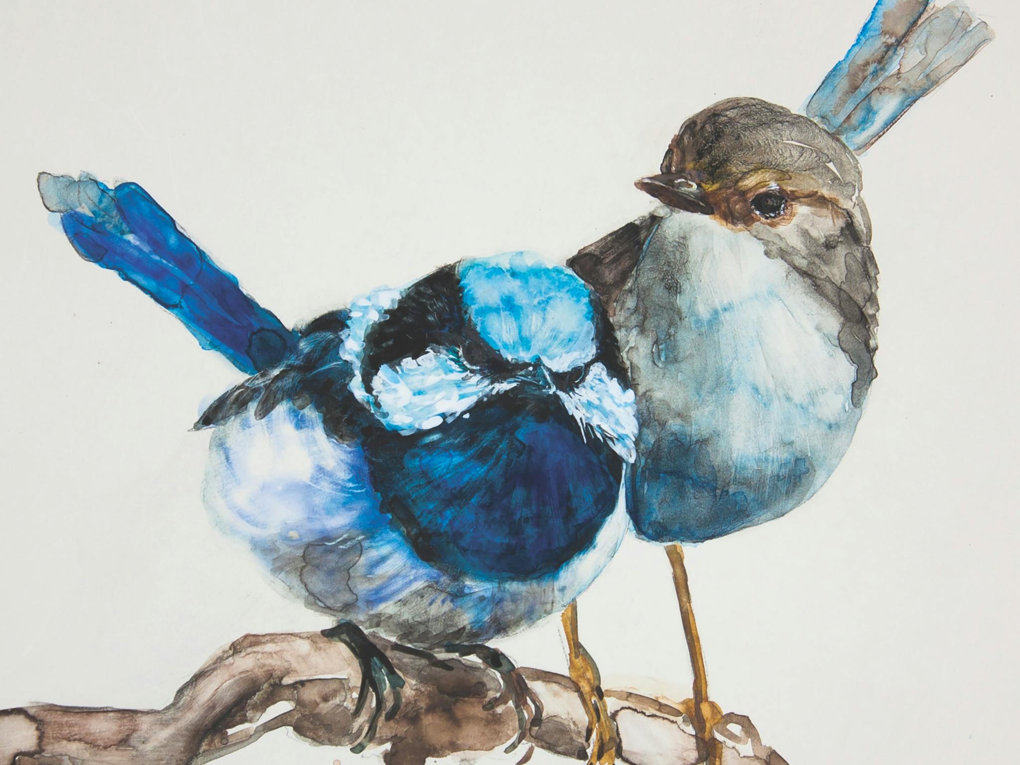 'Pair of Fairy Wrens'. Watercolour by Anne Slater.