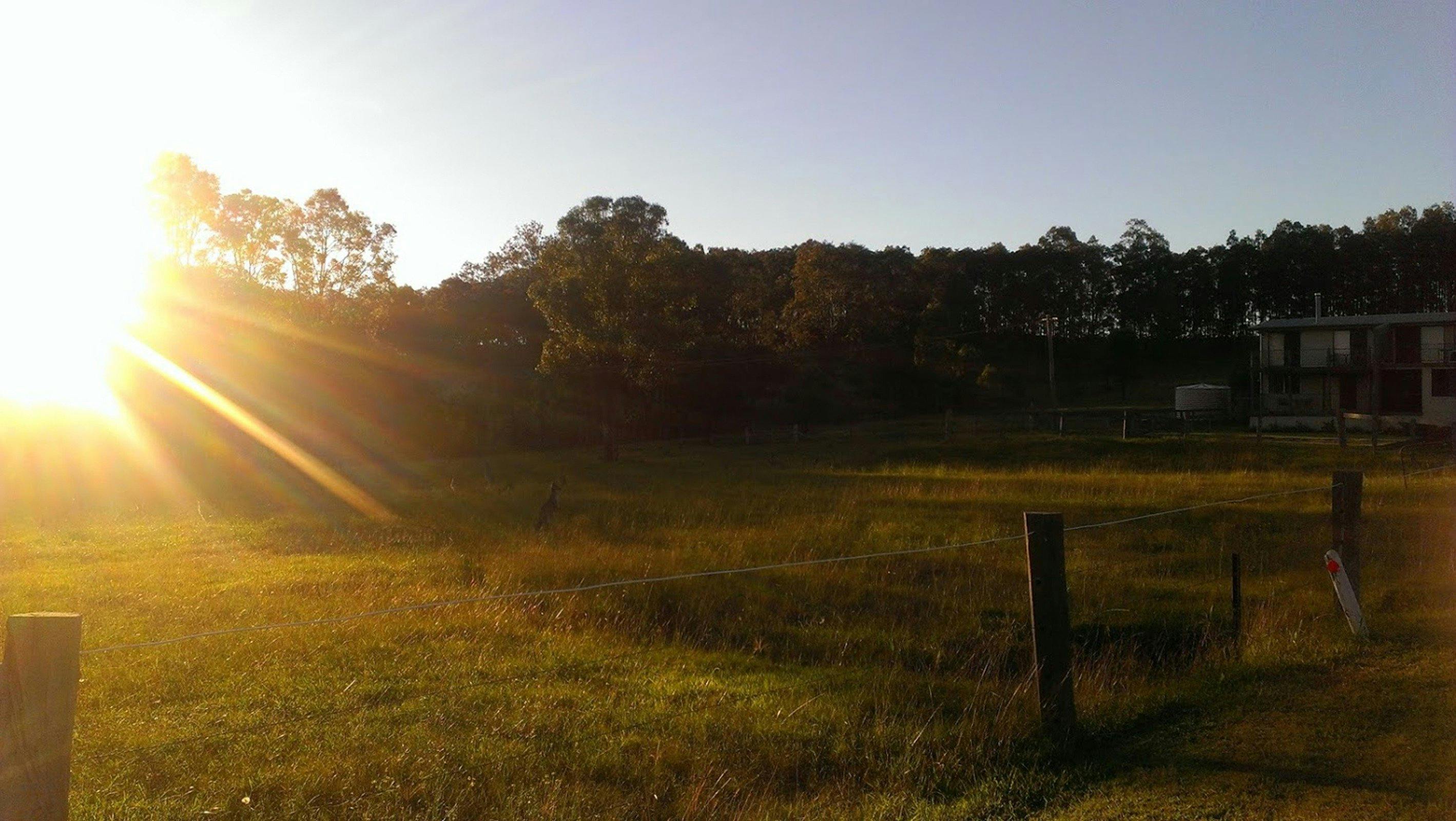 sunset kangaroo horse ride hunter valley