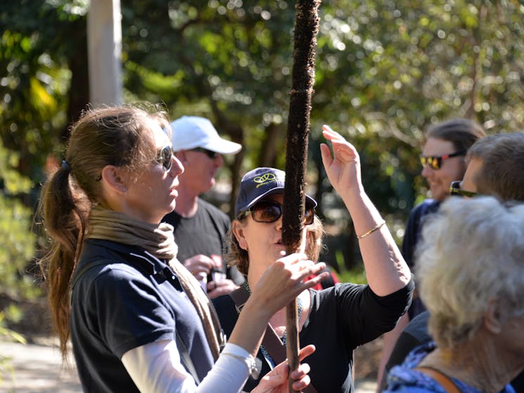 Tactile activity for traveller with sight loss, holding a 2 metre tall spear like grass tree flower