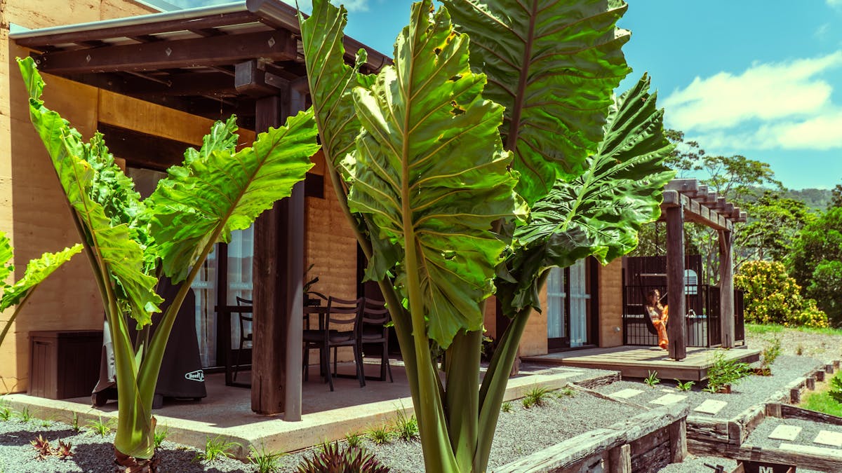 Mayan Farm Villa 1