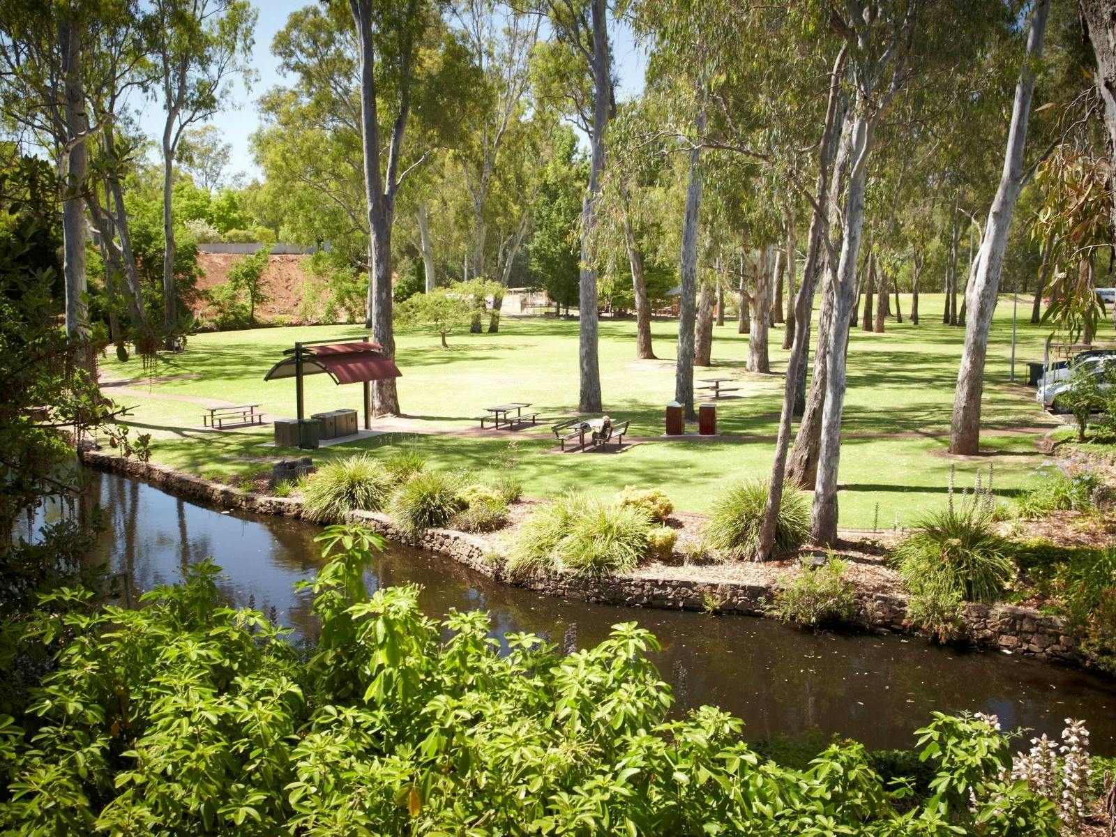 Merriwa Park Gum trees where Hidden Creature Discs are located