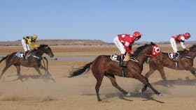 Simpson Desert Racing Carnival