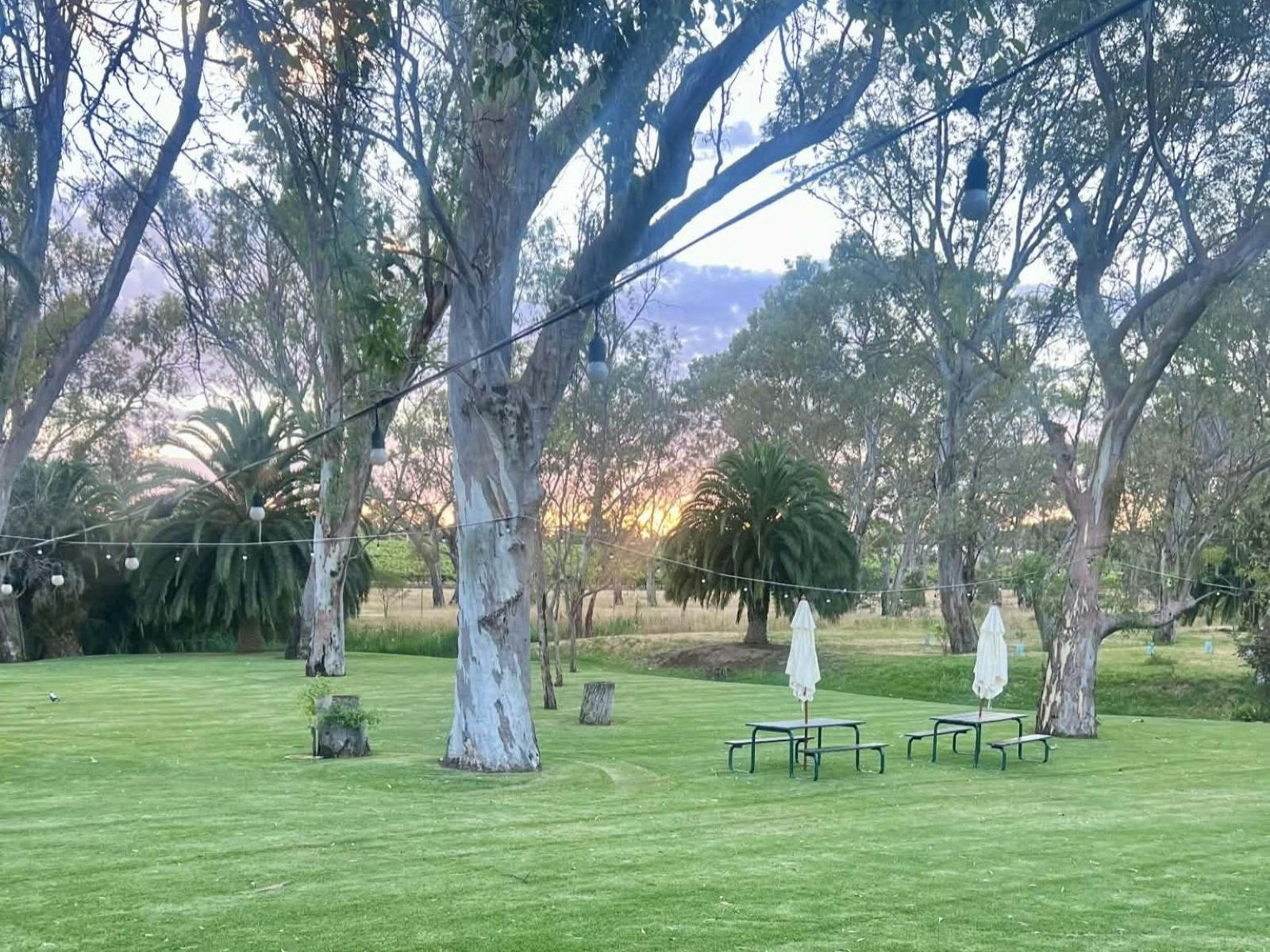 Lawns at the Studio