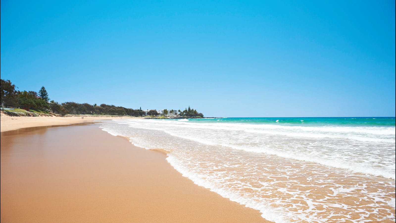Coral Coast Pathways (Burnett Heads to Bargara)