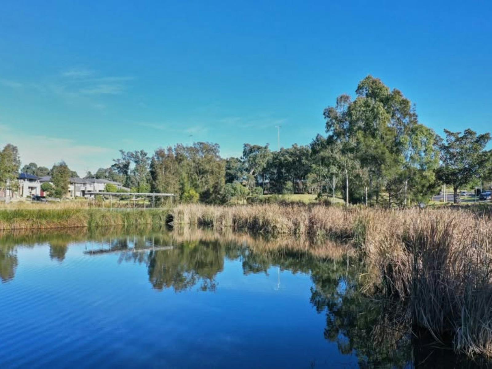 Kolombo Reserve
