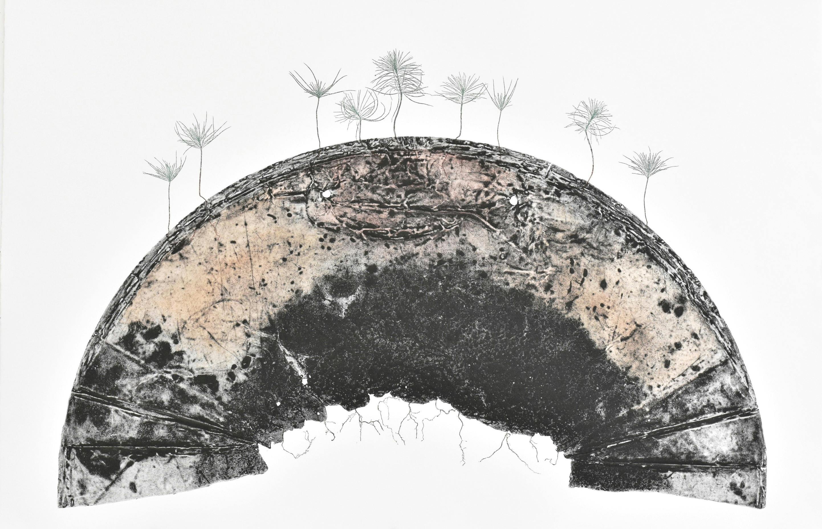 Jenny Peterson, Terra Pinus. Intaglio print, nature printing, watercolour, 74 x 96cm
