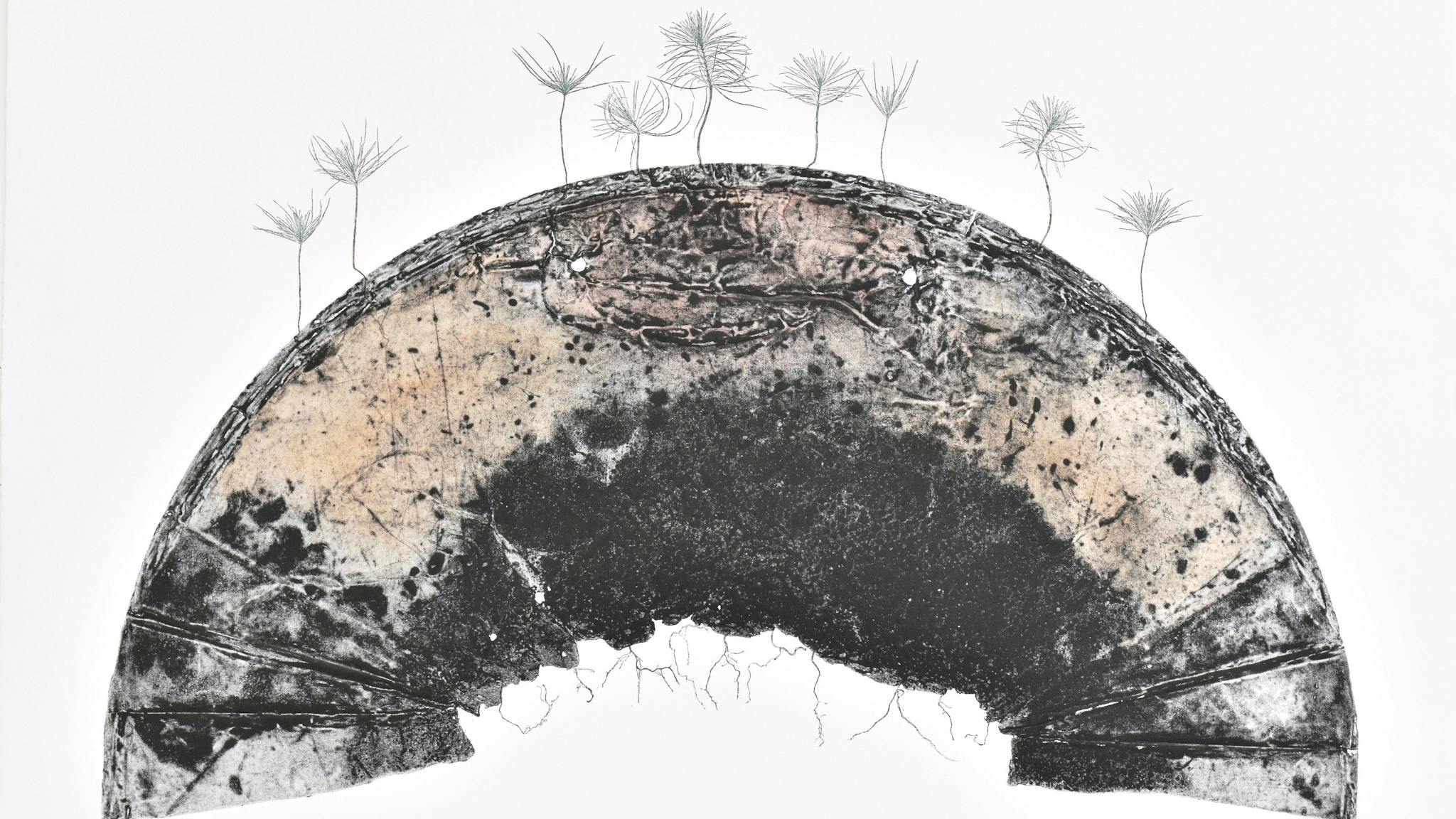 Jenny Peterson, Terra Pinus. Intaglio print, nature printing, watercolour, 74 x 96cm