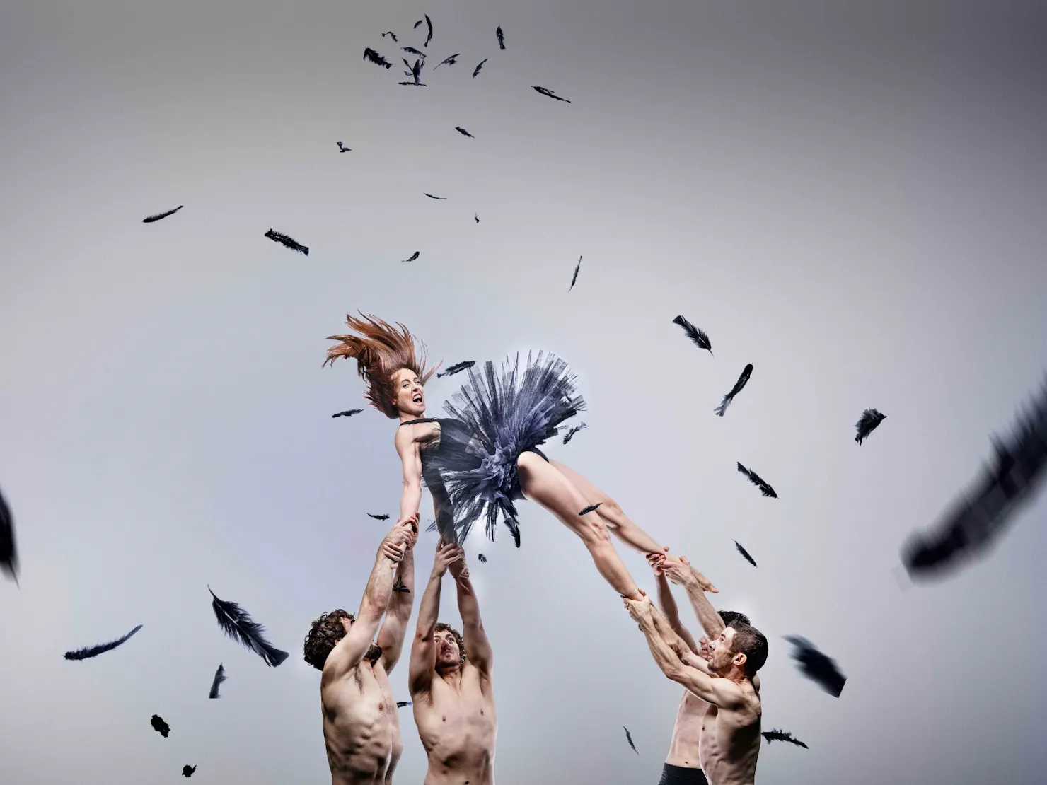 A female ballet dancer  was lifted in the air by three male dancer.