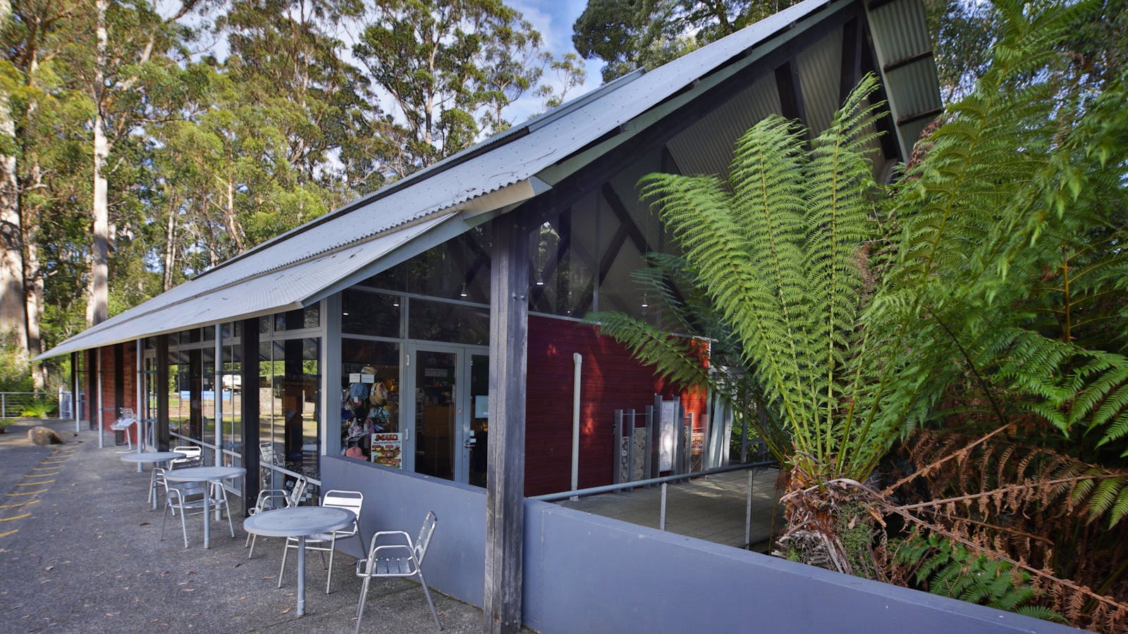 Hastings Caves and Thermal Springs