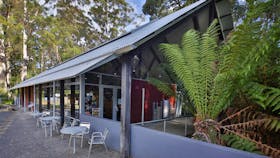 Hastings Caves and Thermal Springs