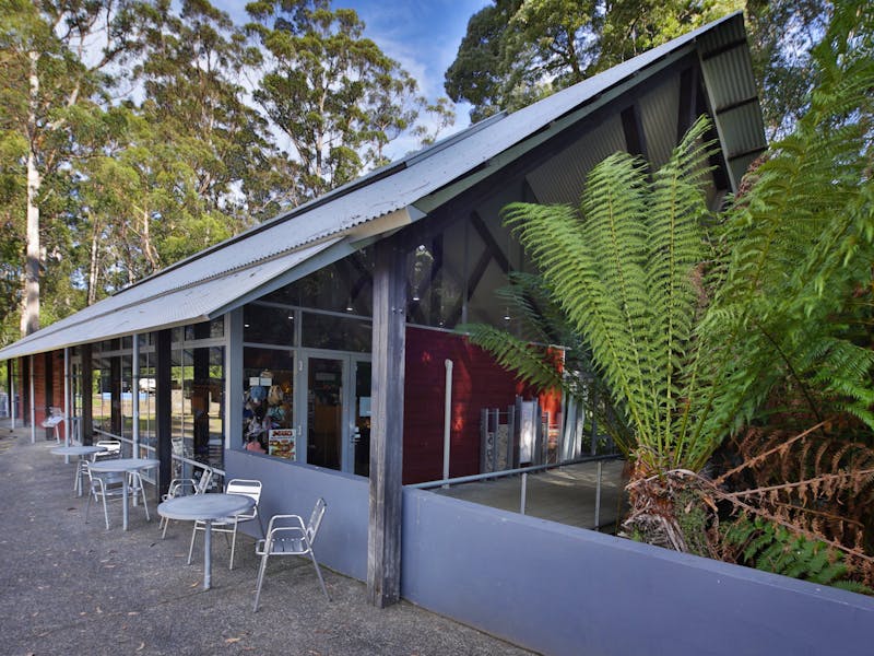 Hastings Caves and Thermal Springs Discover Tasmania