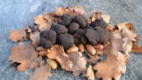 Truffles from TurallaTruffles