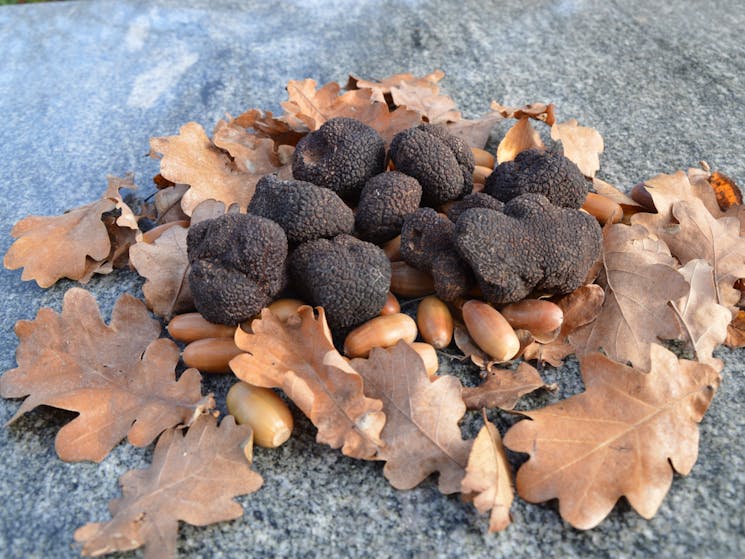 Truffles from TurallaTruffles