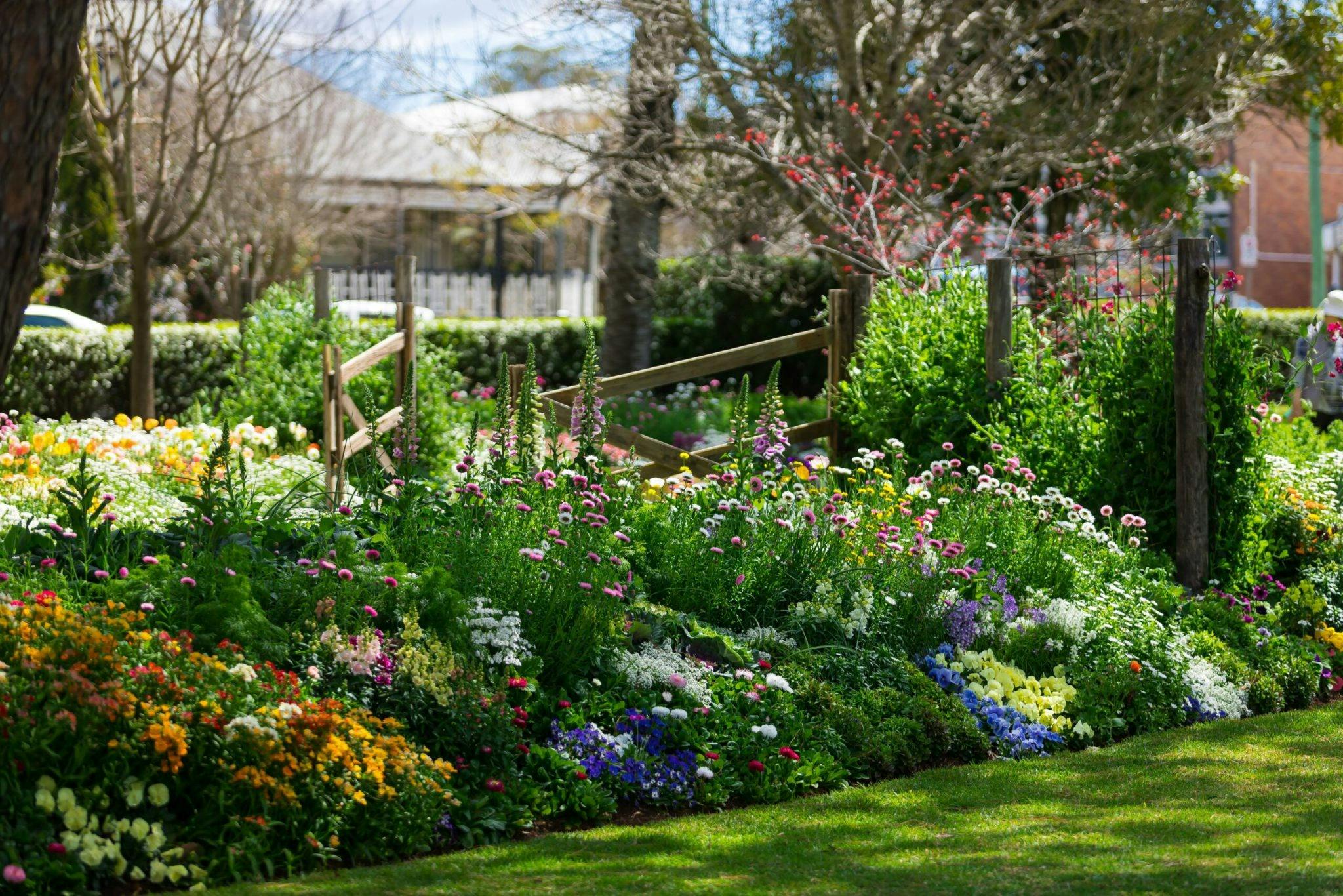 Floral Displays at Laurel Bank Park Toowoomba