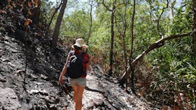 Tjaynera Falls (Sandy Creek)