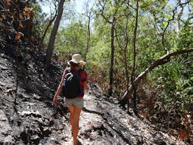 Tjaynera Falls (Sandy Creek)