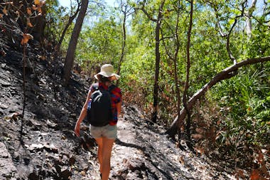 Tjaynera Falls (Sandy Creek)