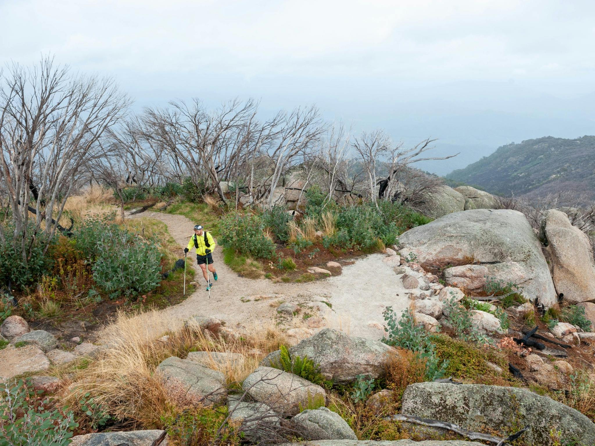 Man running in the wilderness.