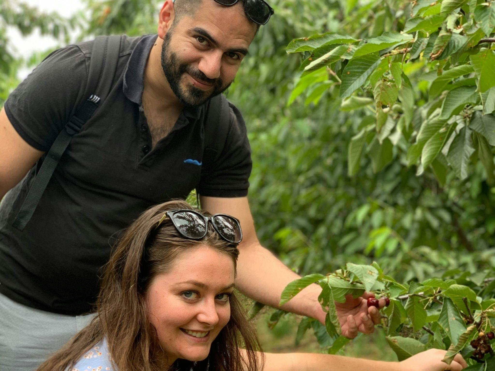 Cherry picking on the farm trail, Orange