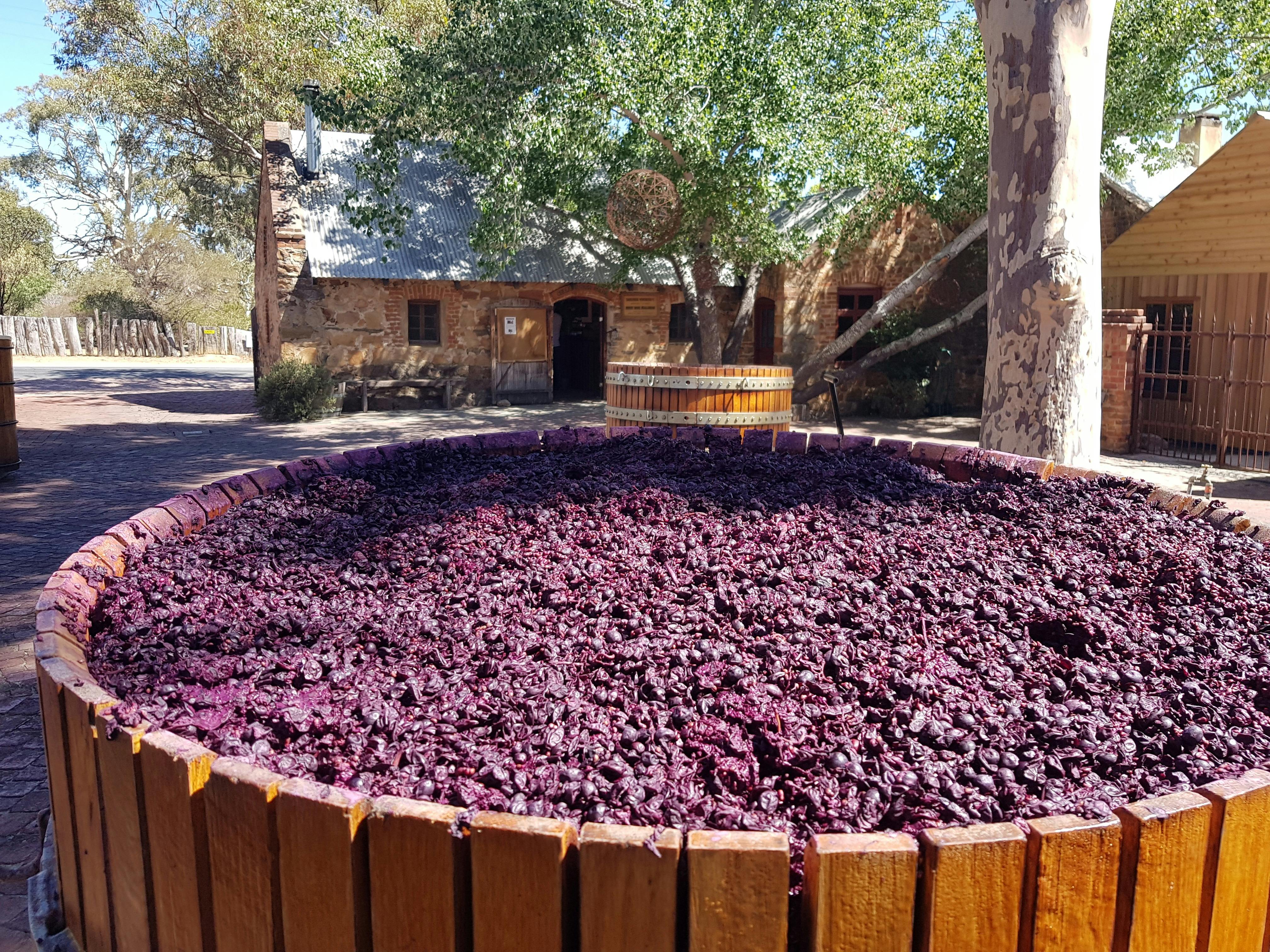 Barossa Valley Day Tour