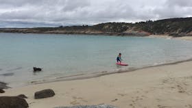 Allports Beach Picnic Area