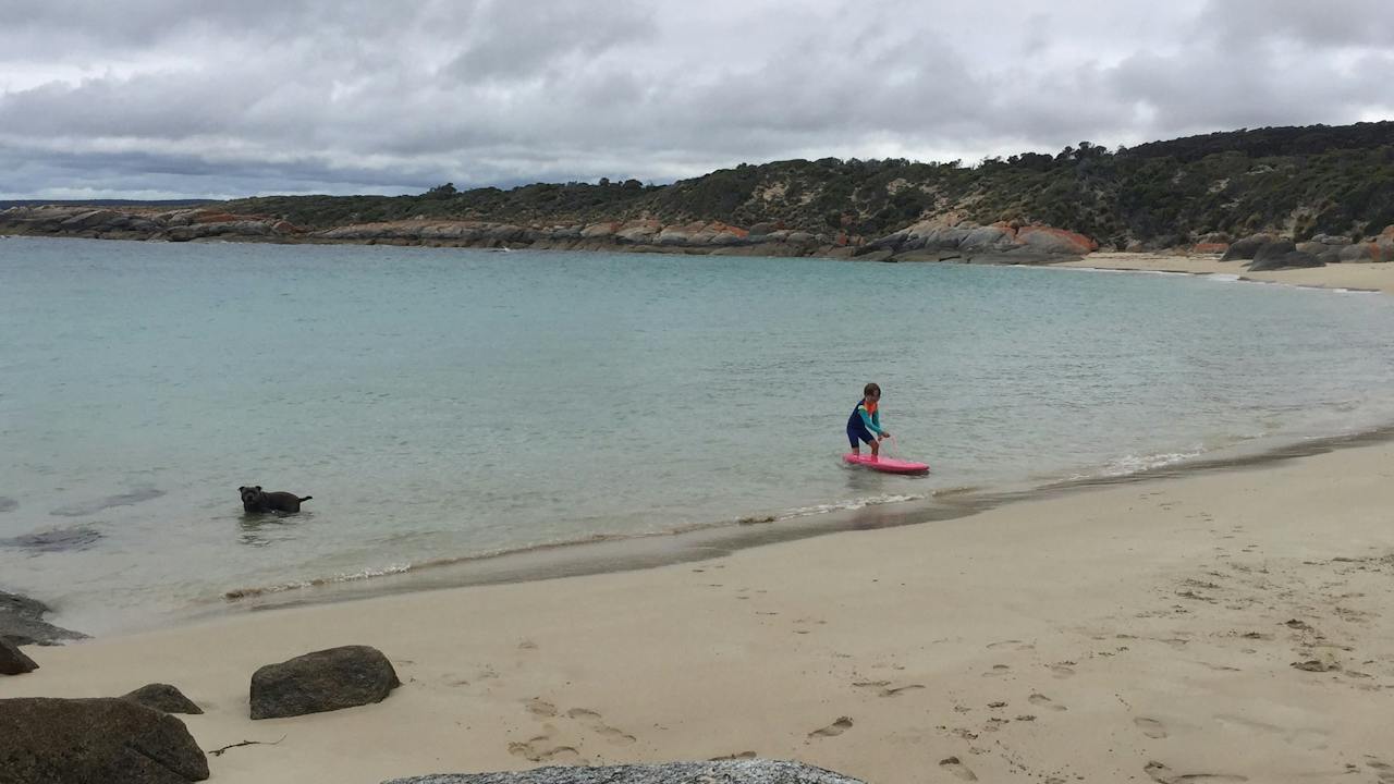Allport Beach, children and pet friendly on Flinders Island