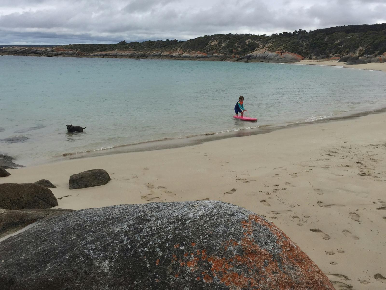 Allport Beach, children and pet friendly on Flinders Island Tasmania