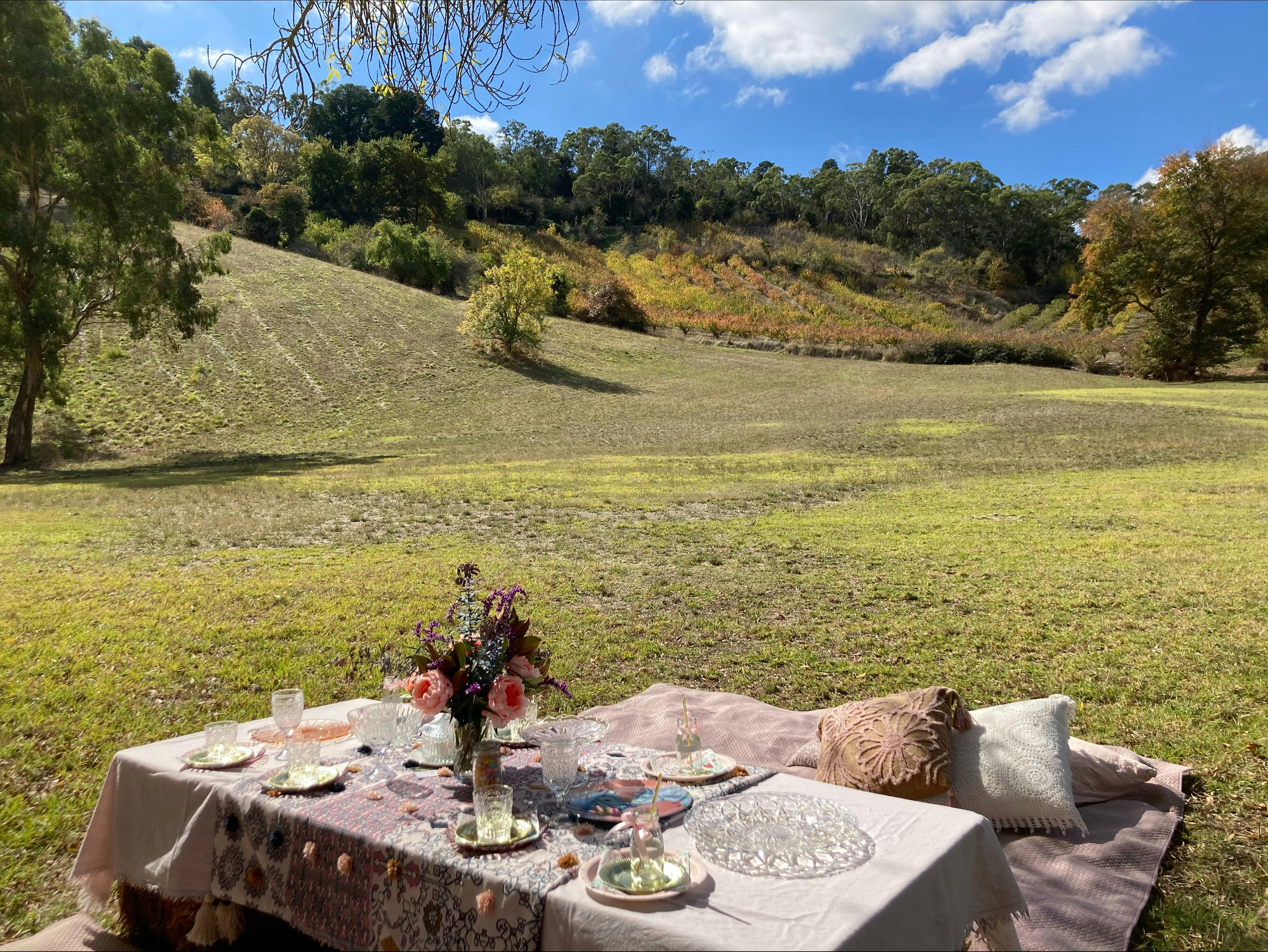 Carriage Ride and Vintage Picnic