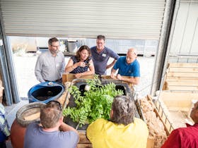 Learn about environmental sustainability practices through our onsite aquaponics system