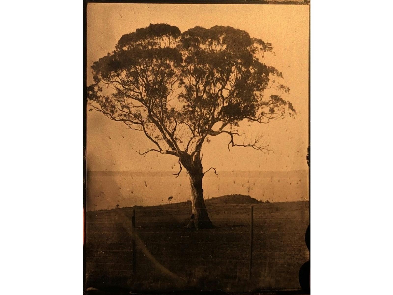 Brenda L Croft  ‘after/image’