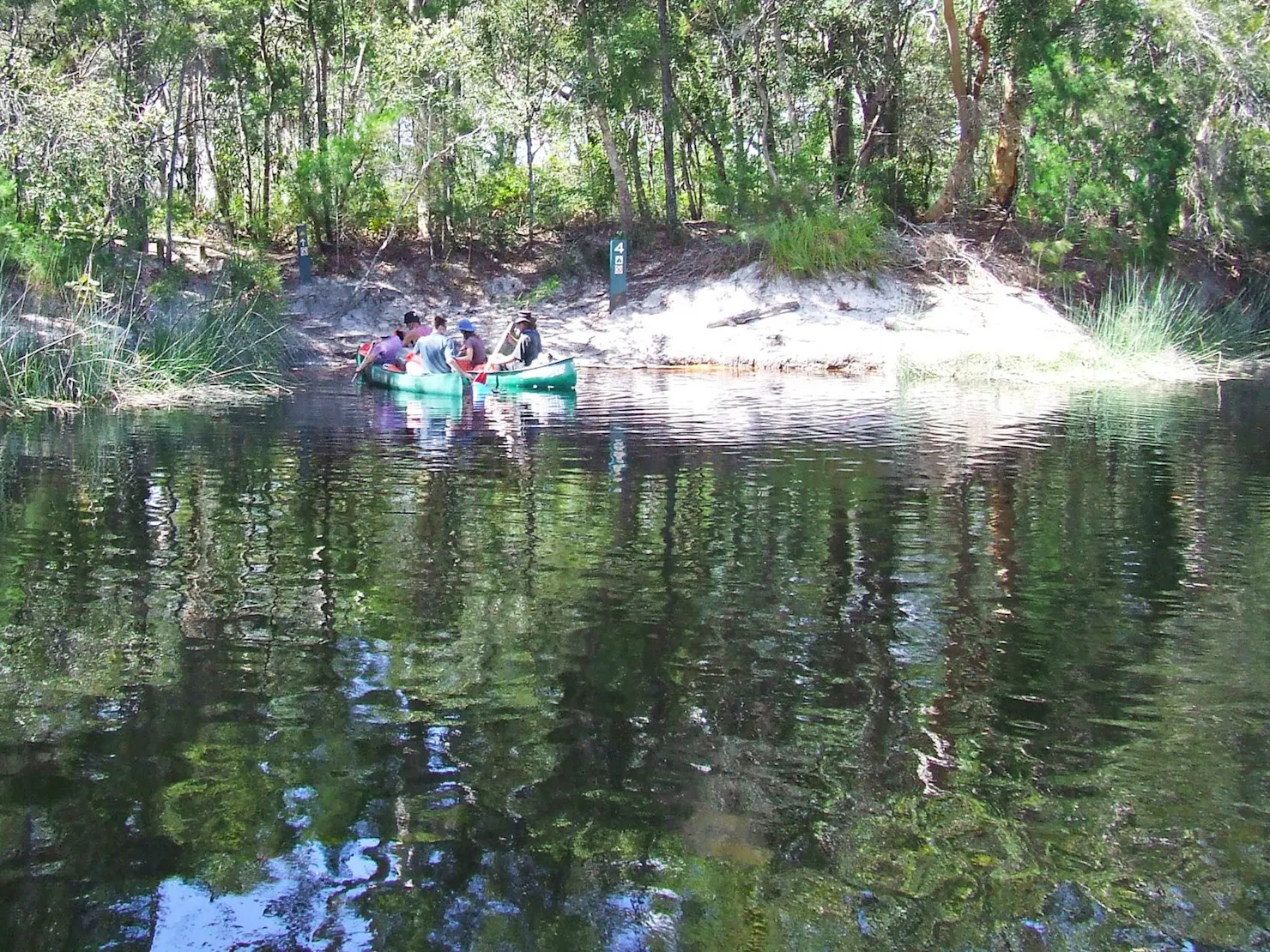 People in 2 green canoes paddling up to a sandy bank.