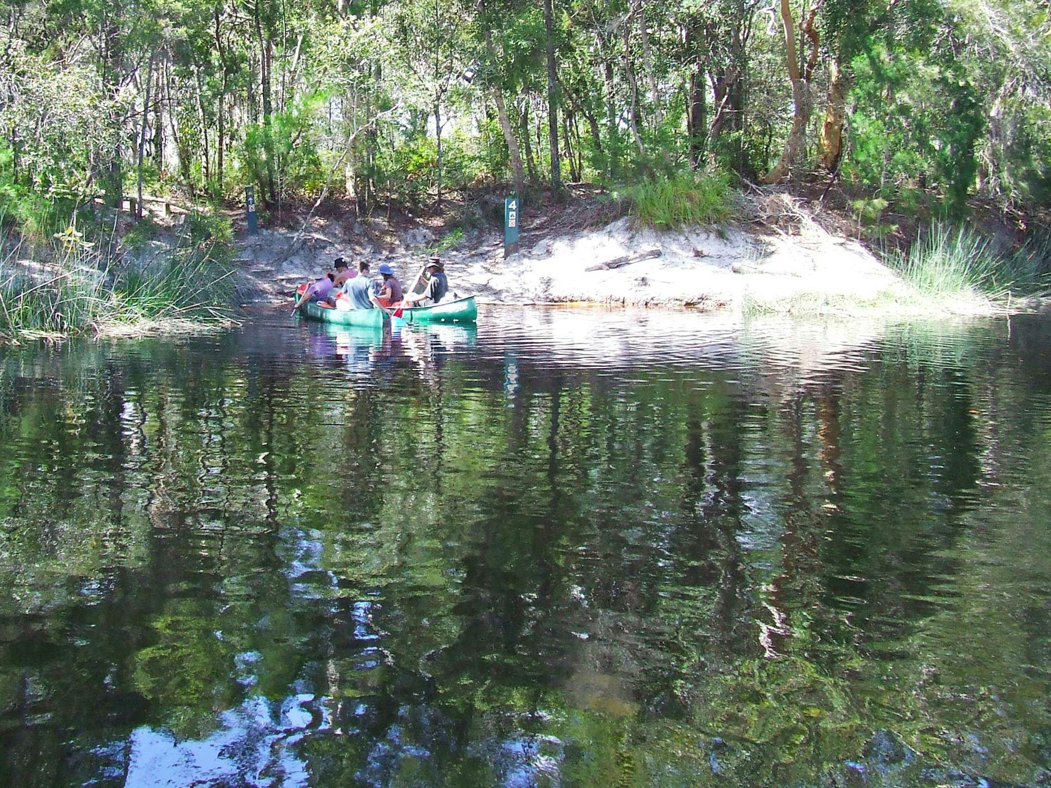 People in 2 green canoes paddling up to a sandy bank. People in 2 green canoes paddling up to a sandy bank.