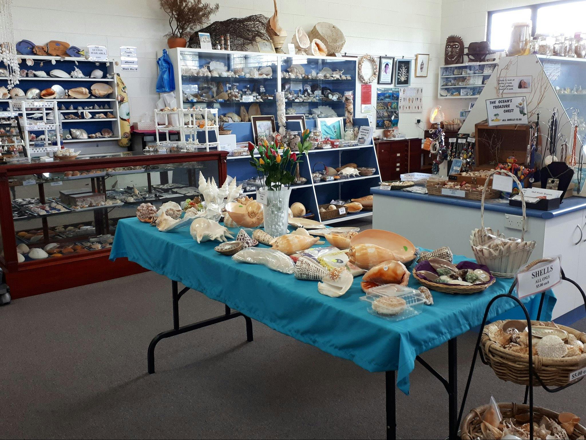 Shell World Yeppoon