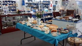 Shell World Yeppoon