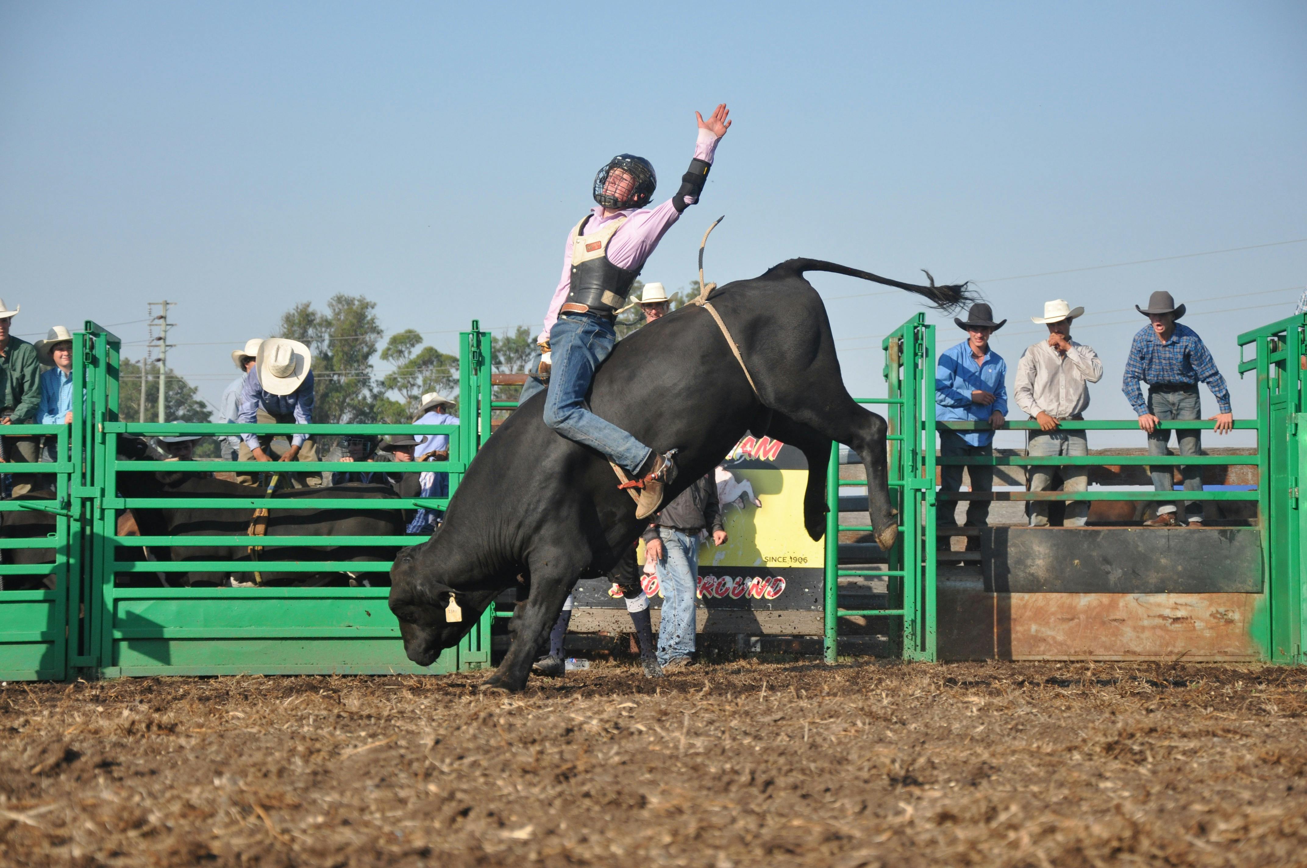 Bull Ride