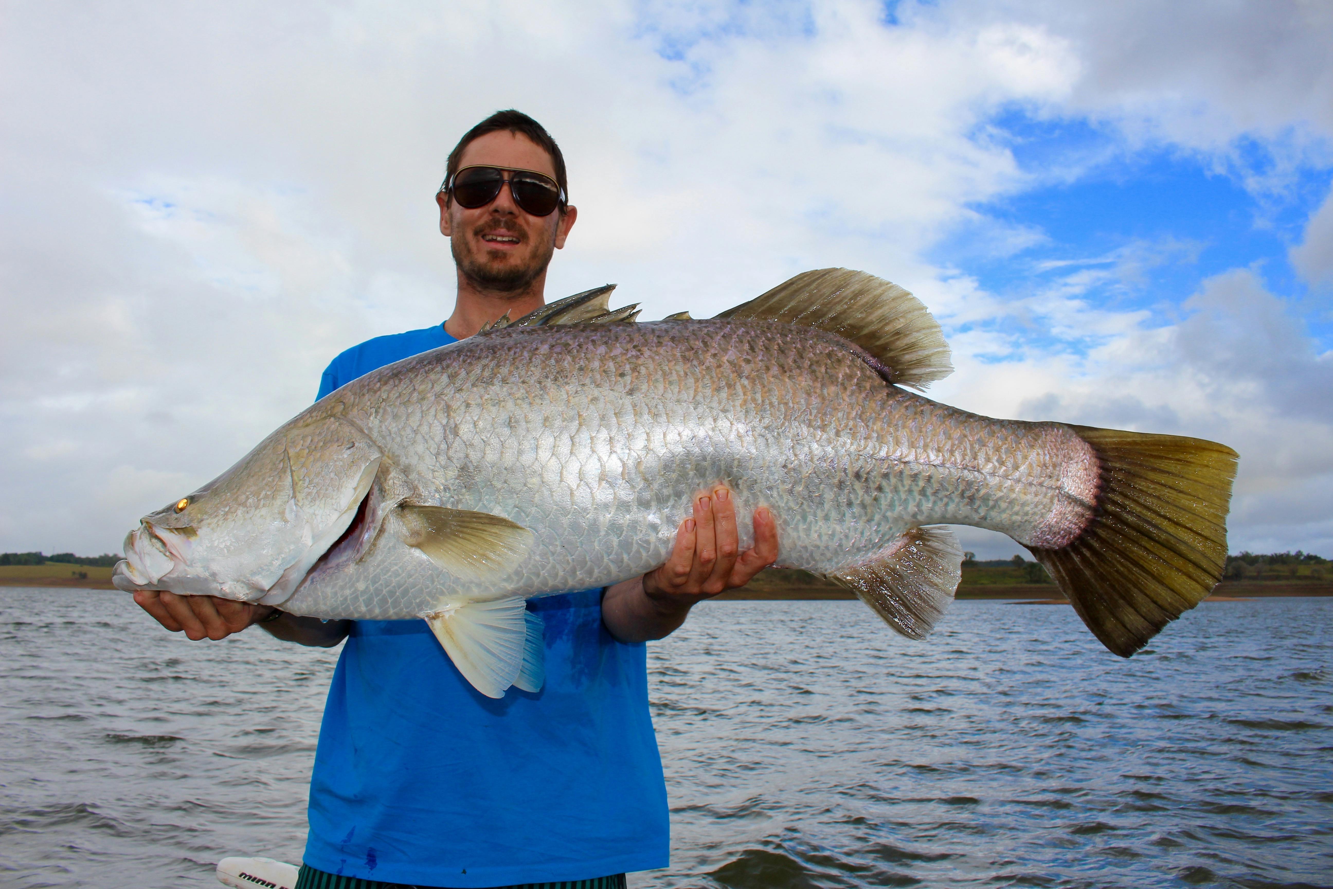 Barramundi