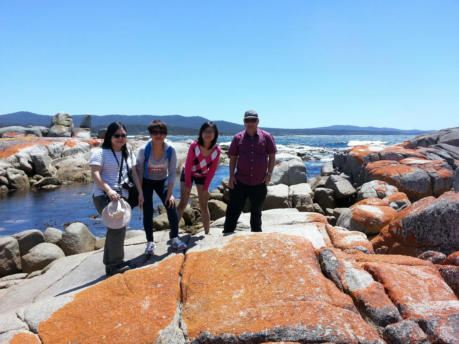 Orange lichen covering rocks at the Bay Of Fires