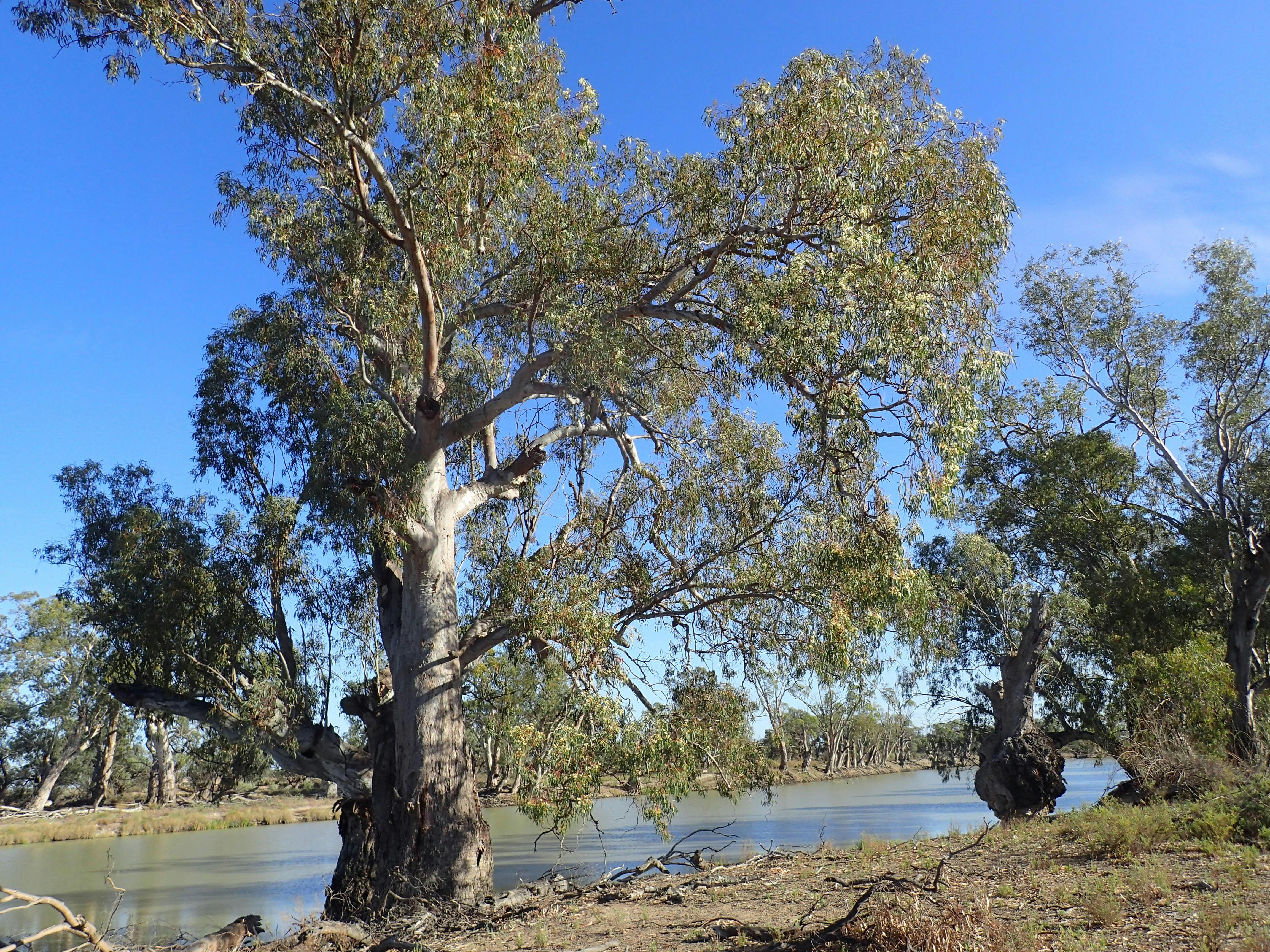Creeks and waterway