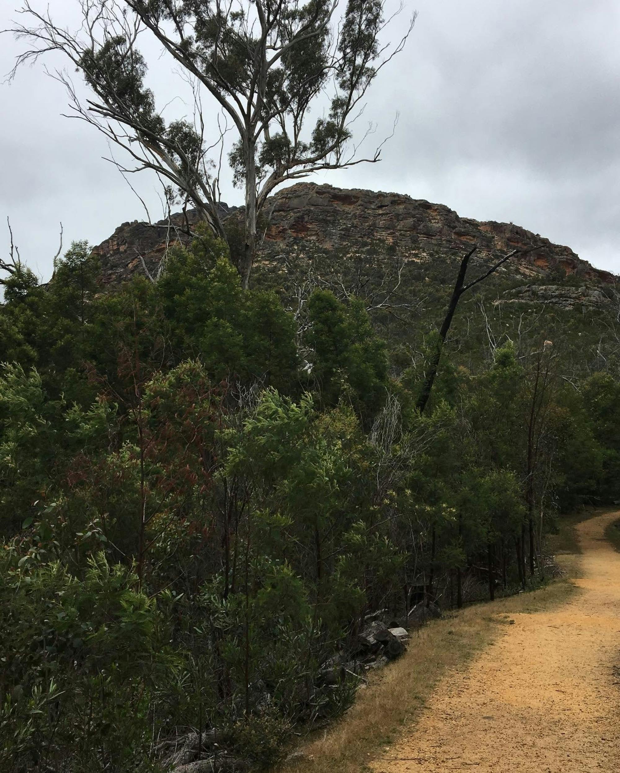 Mt Difficult from the Beehive Falls Walking Track