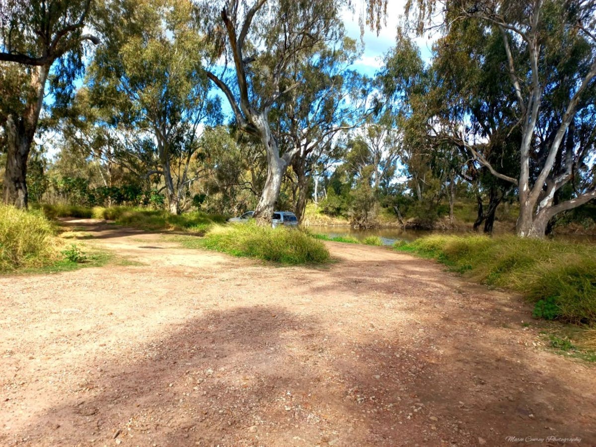Dirt road at Lee's Reserve