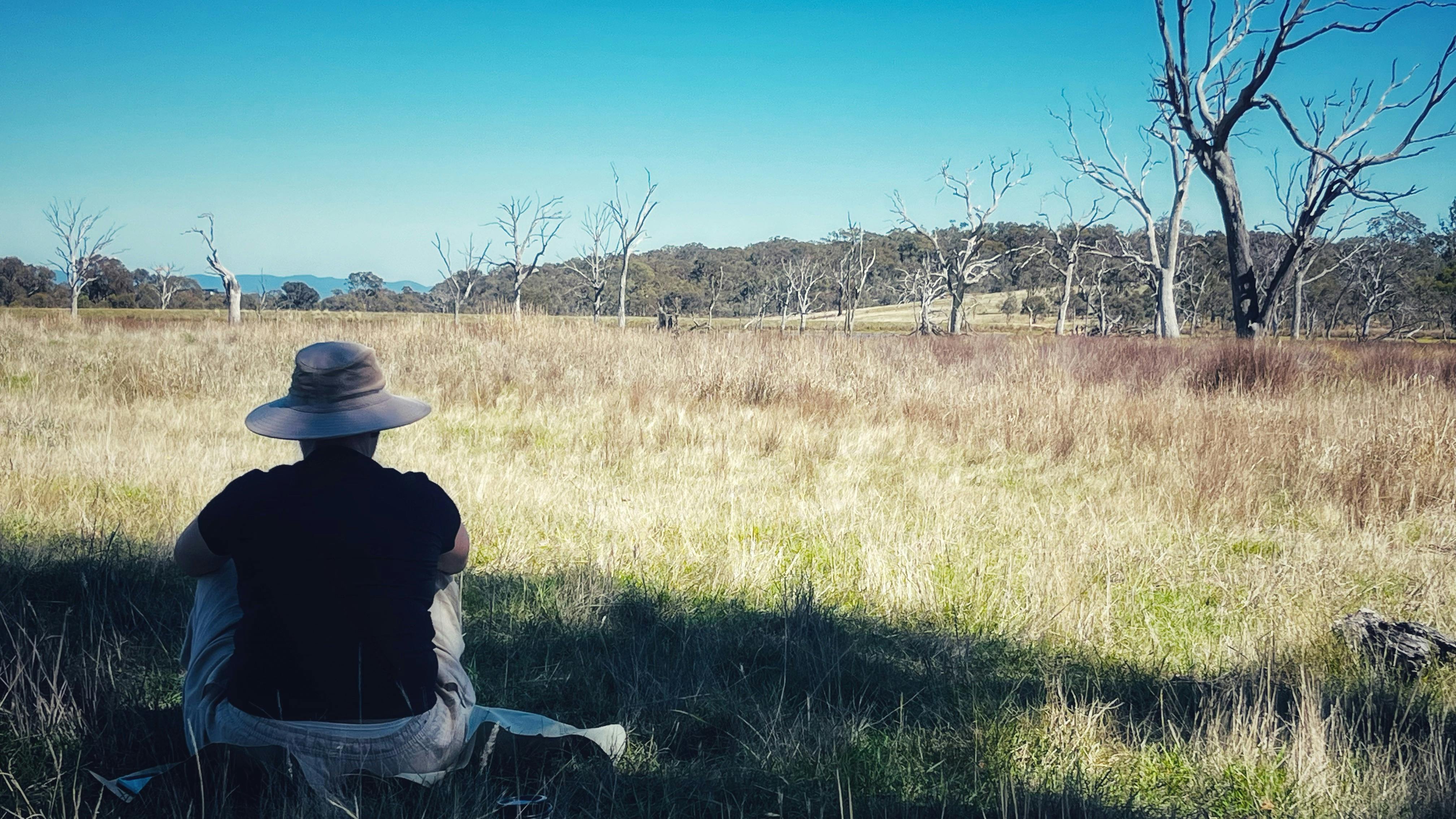 Woman sitting in grasslands looking out at gum trees and blue sky