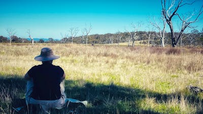 Woman sitting in grasslands looking out at gum trees and blue sky