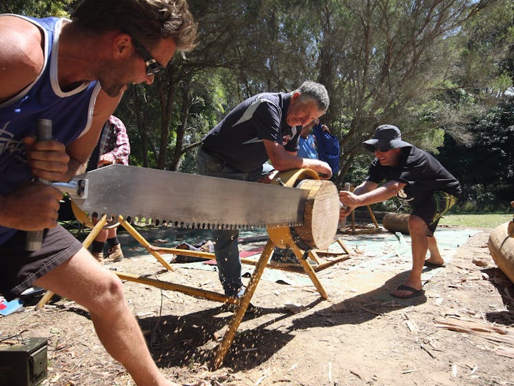 Men on a beach cutting timber the old fashioned way