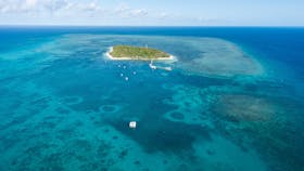 Aerial of Green Island and reef
