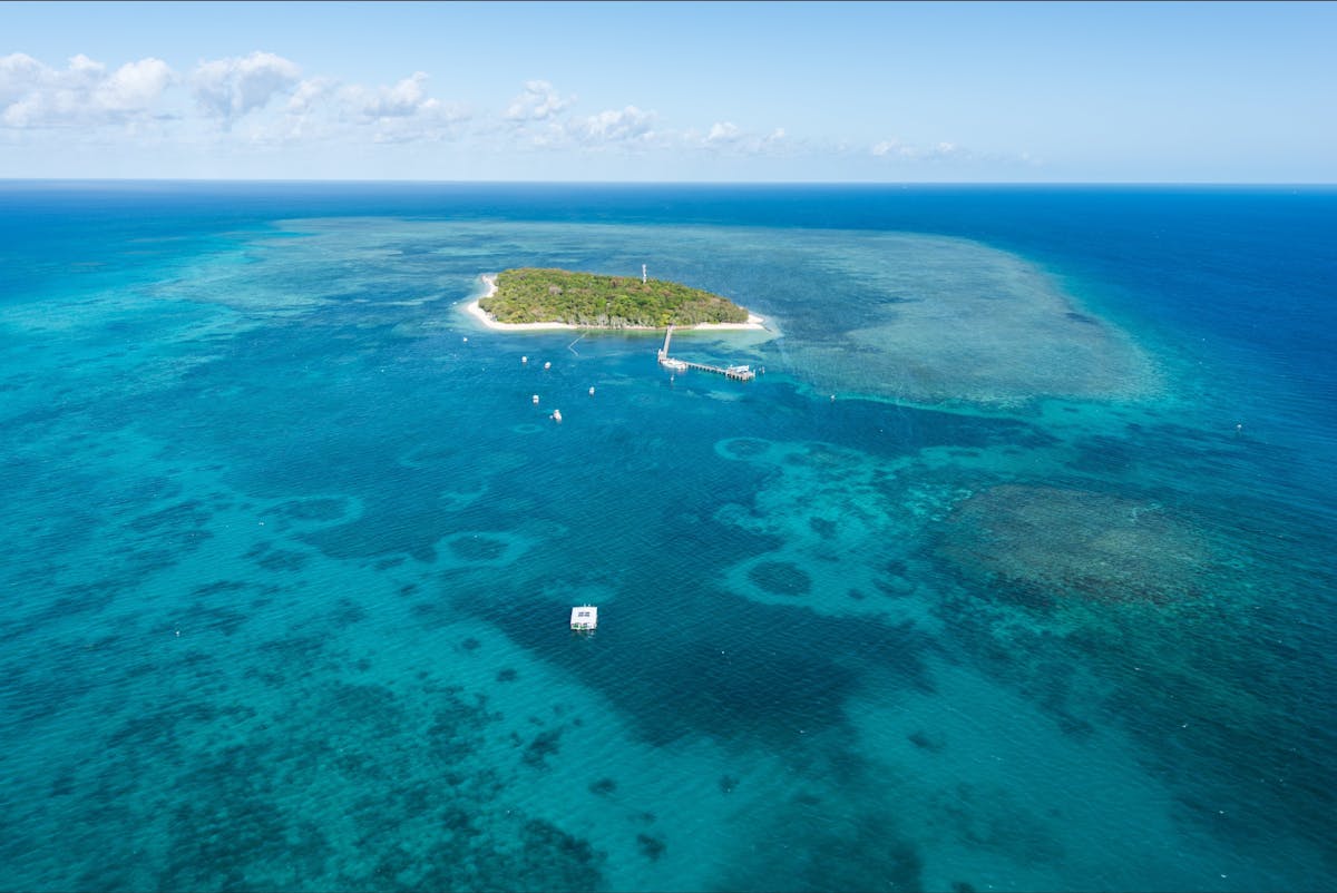 Aerial of Green Island and reef